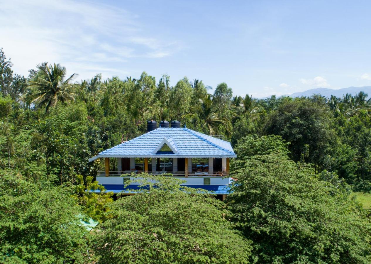The Midway Jungle Resort Masinagudi Esterno foto